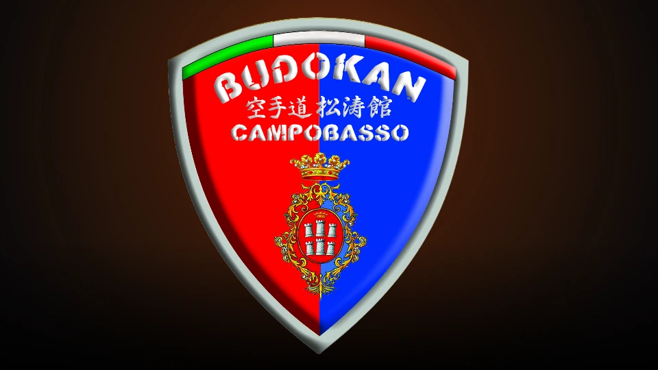 Storia Budokan Karate